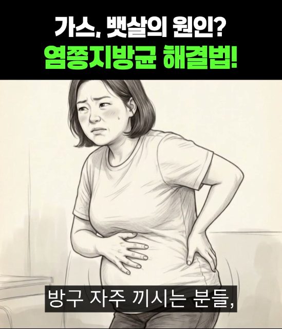 일반식품 · 다이어트 유산균 광고 사례 이미지